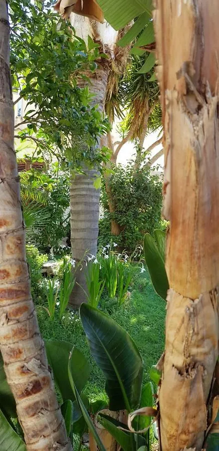 Mariposa B&B San Vito Lo Capo Bed & Breakfast