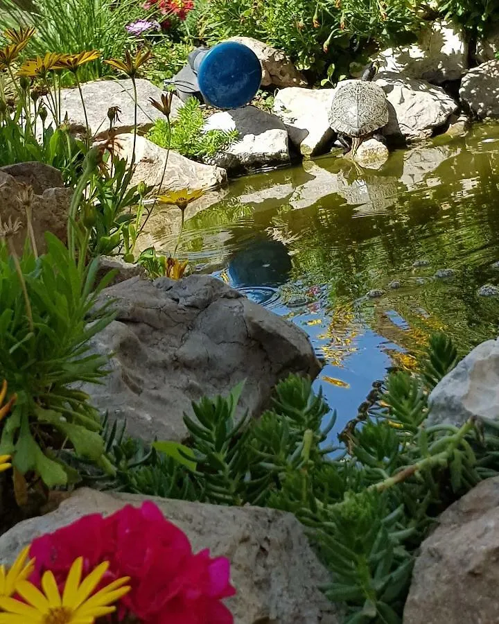 住宿加早餐酒店 Mariposa B&B 圣维托罗卡波