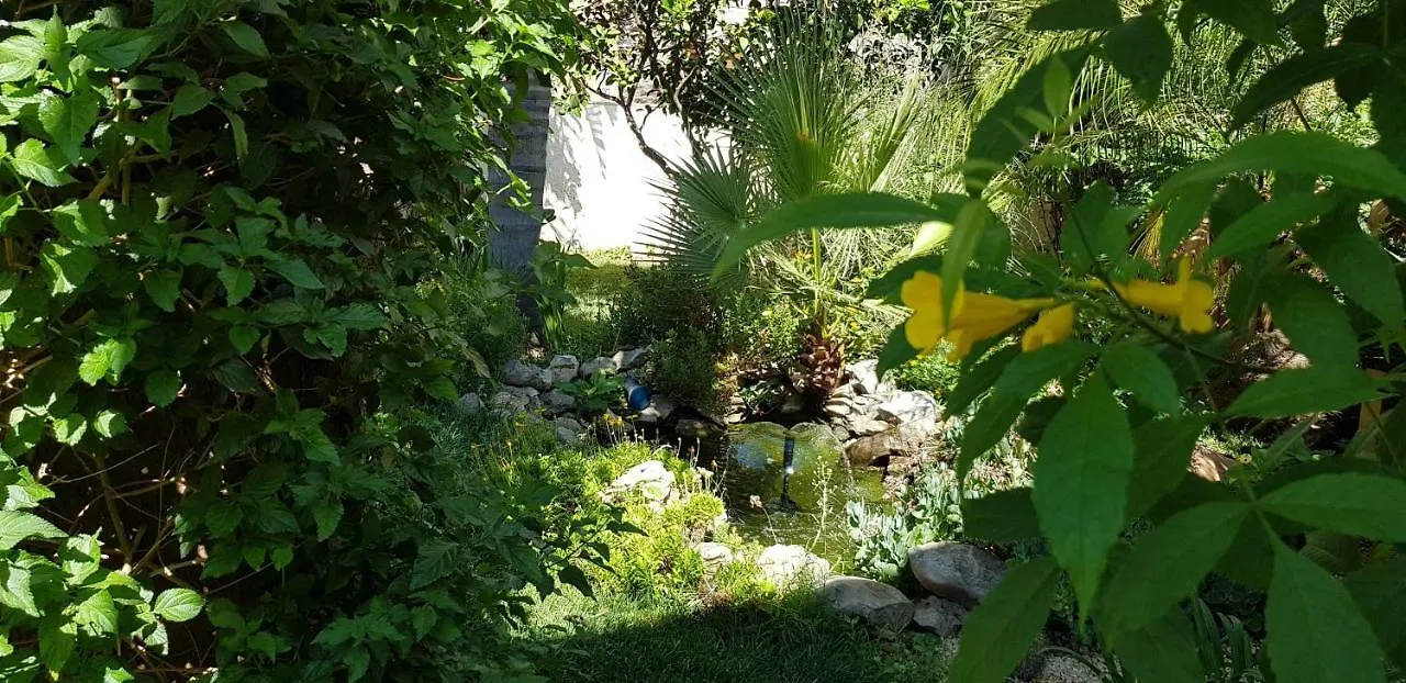 住宿加早餐酒店 Mariposa B&B 圣维托罗卡波