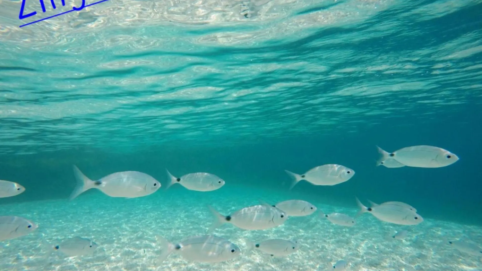 Mariposa B&B San Vito Lo Capo Italia