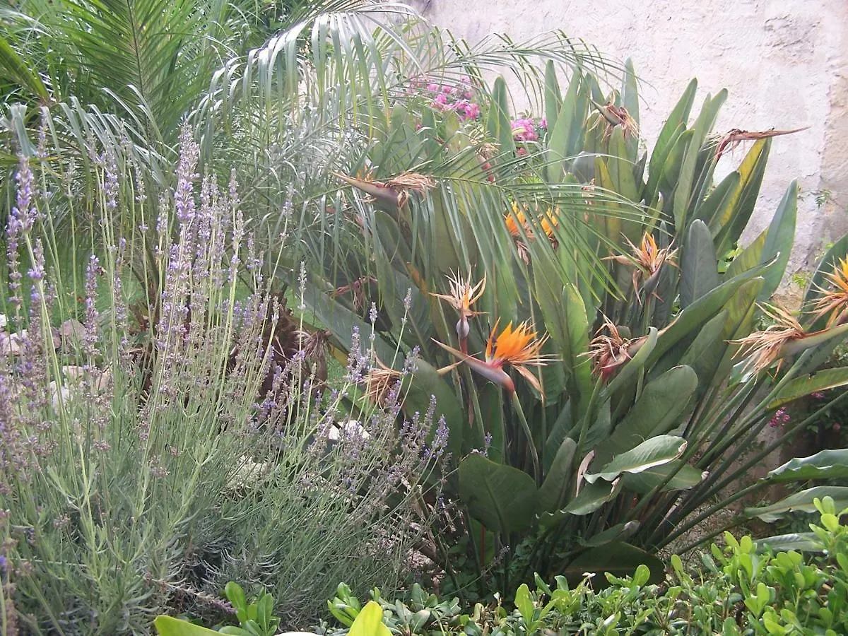 Mariposa B&B San Vito Lo Capo 3*,  Italia